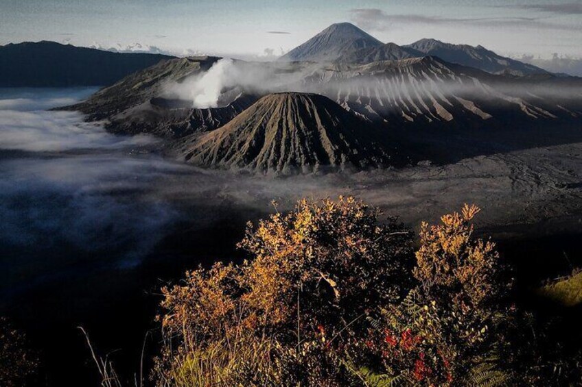 Shared tour in Mount Bromo from Malang 