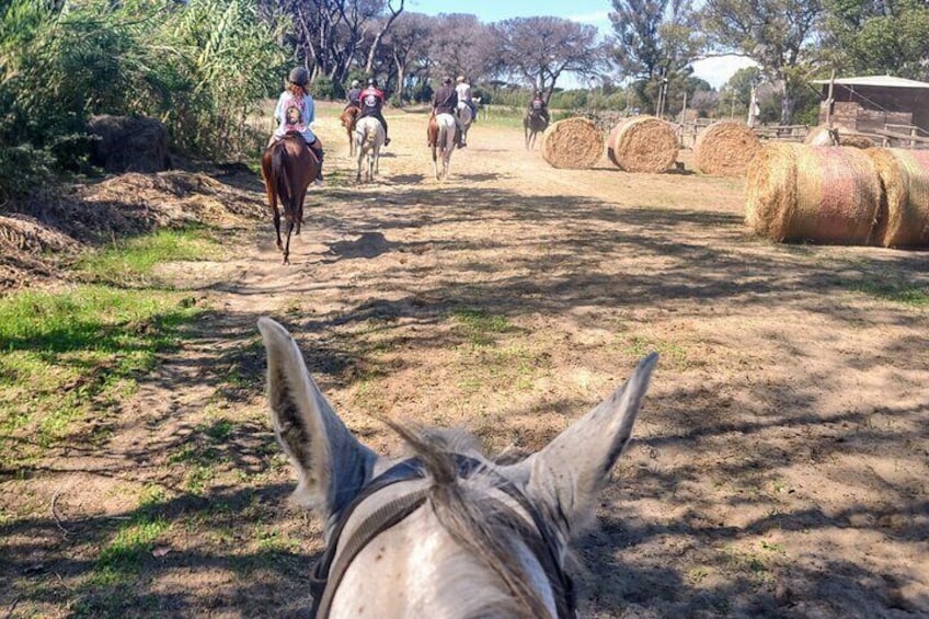 Dude Ranch In Rome