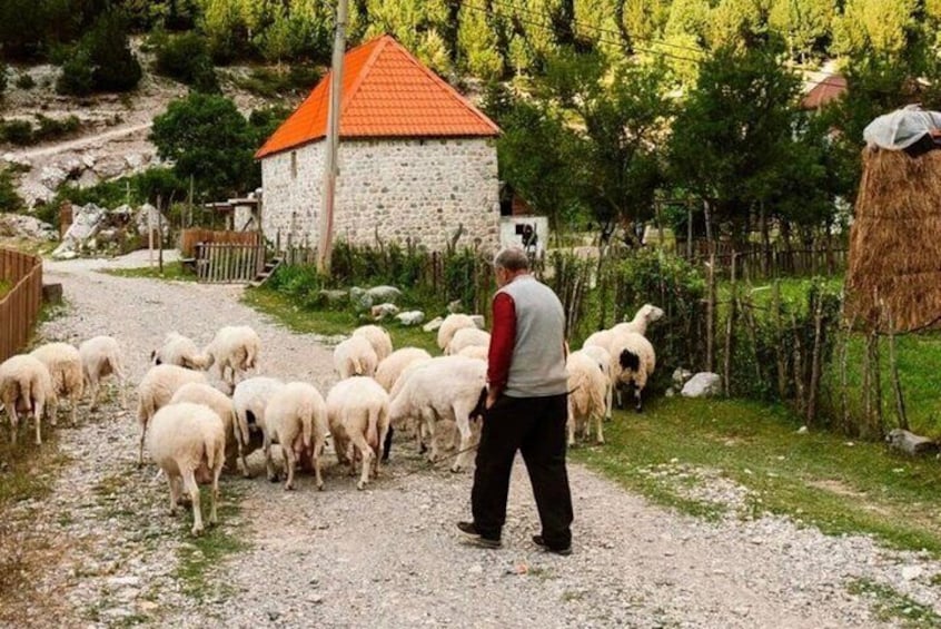 Theth day tour from Shkodra