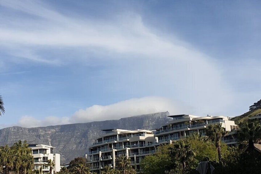 Half Day Table Mountain, Colourful Houses, Museums and Beaches