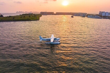 Scenic Seaplane Halong Bay: Discover the World Heritage Marvel