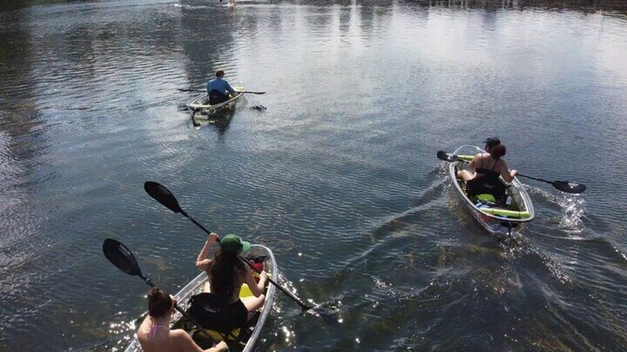 Downtown Austin Skyline Clear Kayak Tour at Lady Bird Lake