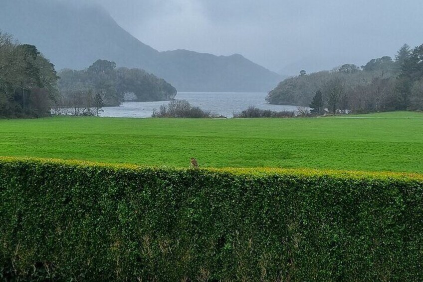 Lakes of Killarney 