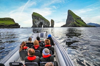 Guided Puffin Safari Boat Tour