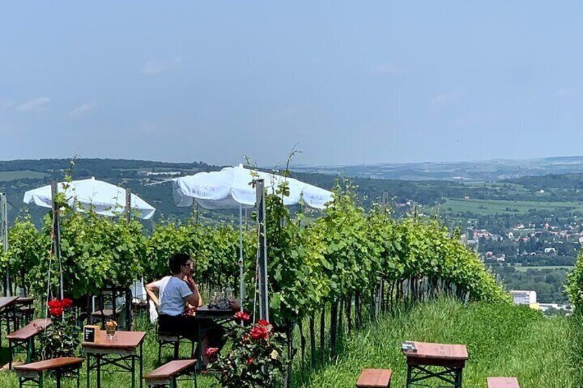 Wieninger Winery Nußberg