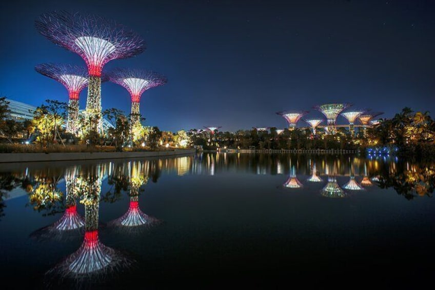 Admission Ticket to Gardens by the Bay Singapore