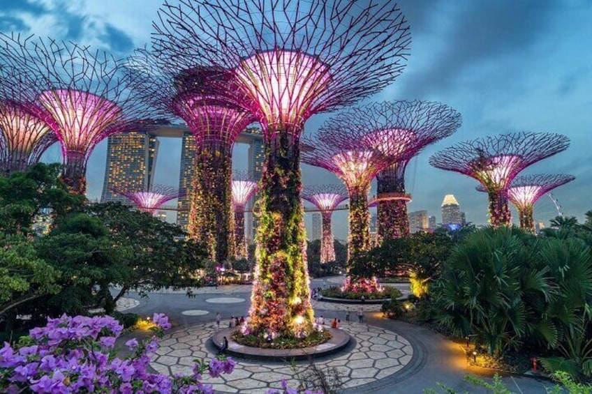 Admission Ticket to Gardens by the Bay Singapore