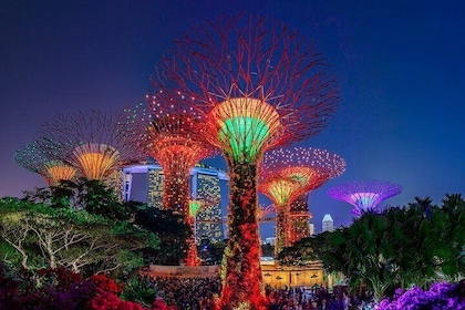 Admission E-Ticket to Gardens by the Bay Singapore