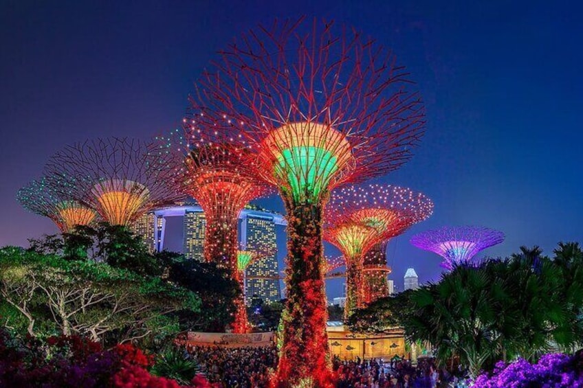 Admission Ticket to Gardens by the Bay Singapore