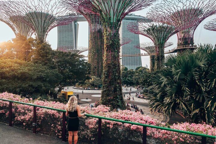 Admission Ticket to Gardens by the Bay Singapore