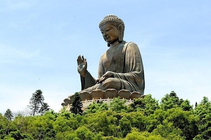 Best Seller : VIP Lantau Tai O Tour Priority Kabelbaan, Grote Boeddha