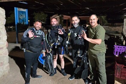 Two dives plus a night dive shore