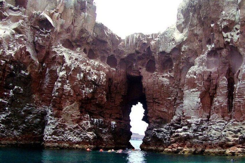 Shared Tour to Isla Espíritu Santo and Snorkeling with Sea Lion