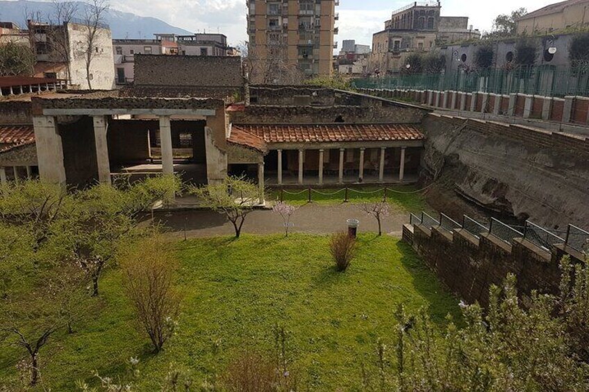 Oplontis Small Group Tour with an Expert Archaeologist