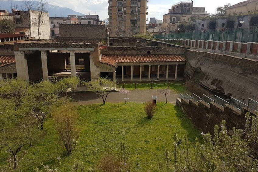 Oplontis Small Group Tour with an Expert Archaeologist