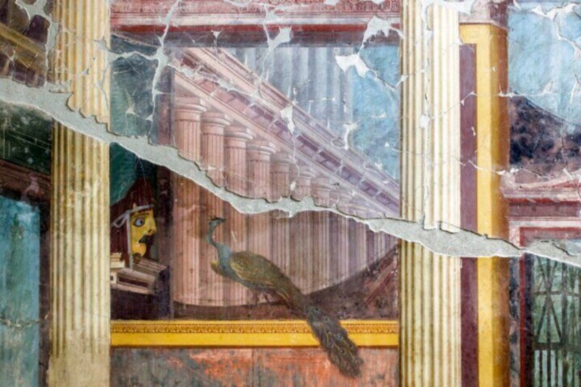 Oplontis Small Group Tour with an Expert Archaeologist