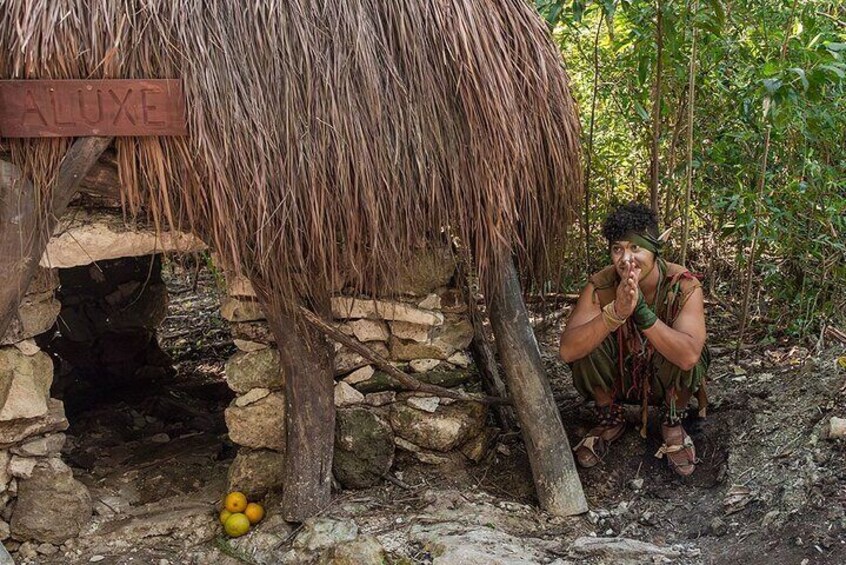 Tulum Beer Tasting and Brewery Tour