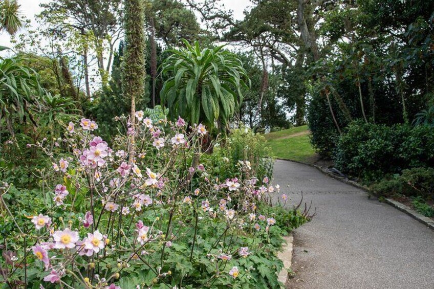 Mindful Photo Walk at Princess Pavilion & Gyllyngdune Gardens