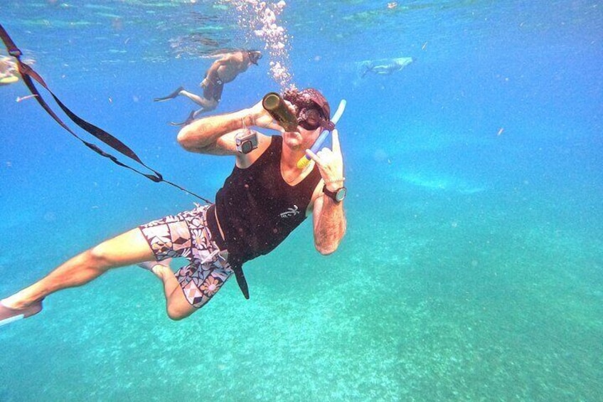 Turtle Snorkeling Tour in Tres Trapi, Aruba
