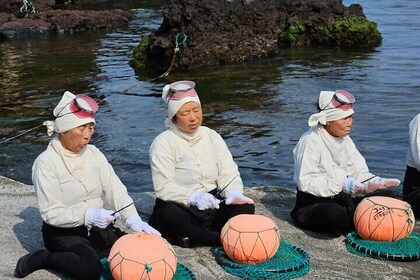 Private Guided Taxi Tour of East Jeju Island