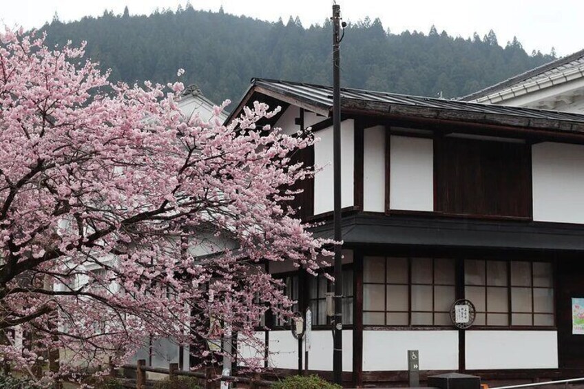 Gujo City, Gifu Prefecture> The bus stops at the "Gujo Hachiman Castle Town Plaza" parking lot. If you walk up the hill for about 20 minutes from the parking lot, you will reach Gujo Hachiman Castle. 