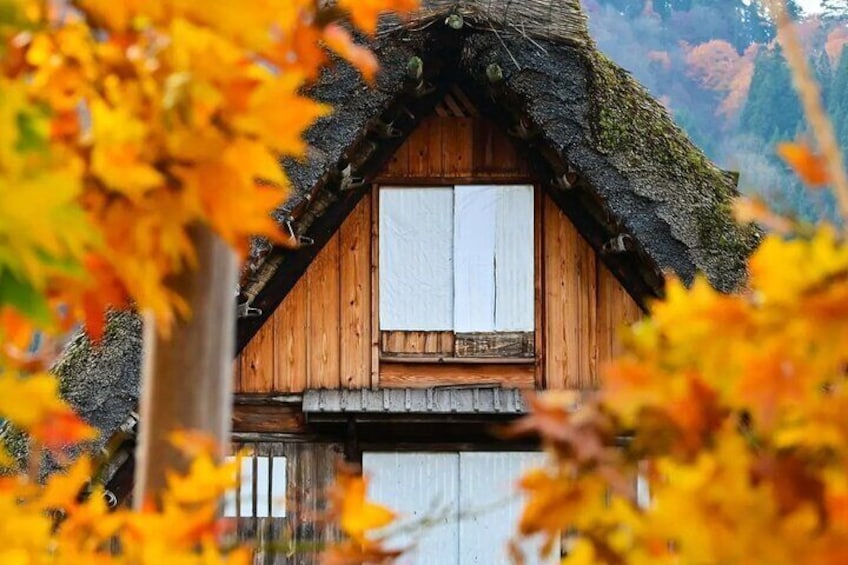 Shirakawa-go, Gifu Prefecture> It has been highly praised not only for its buildings and scenery, but also for the mutual support among residents that is rooted in the area.