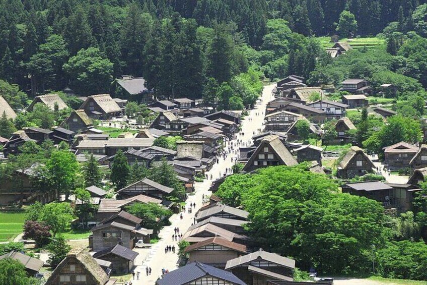 Shirakawa Village, Gifu Prefecture> The charm of Shirakawa-go in summer is undoubtedly the beautiful nature. The surrounding mountains and rice fields are all enveloped in a vibrant green color.