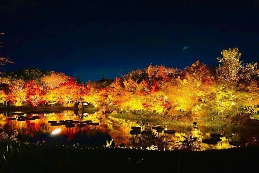 Take your partner on a romantic stroll for unforgettable moment together