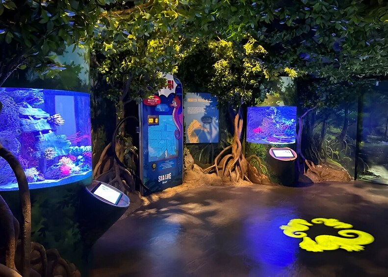 South Korea: SEA LIFE Busan Standard Admission Ticket