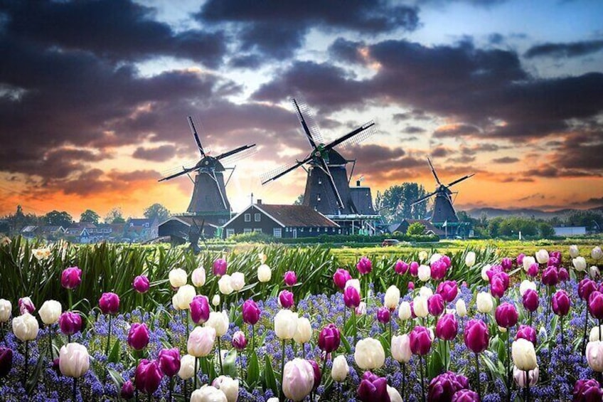 Private Guided Tours in Netherlands 