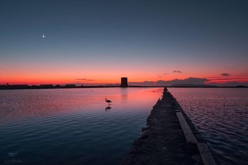 the Florio family, history of wine and salt, between Marsala and Trapani