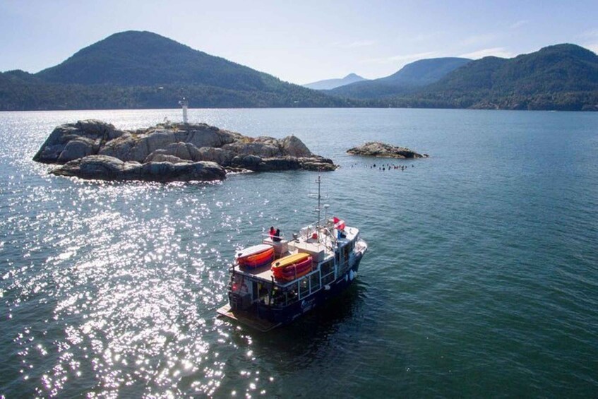 Picture 6 for Activity Vancouver: Scuba Boat Dive in Horseshoe Bay