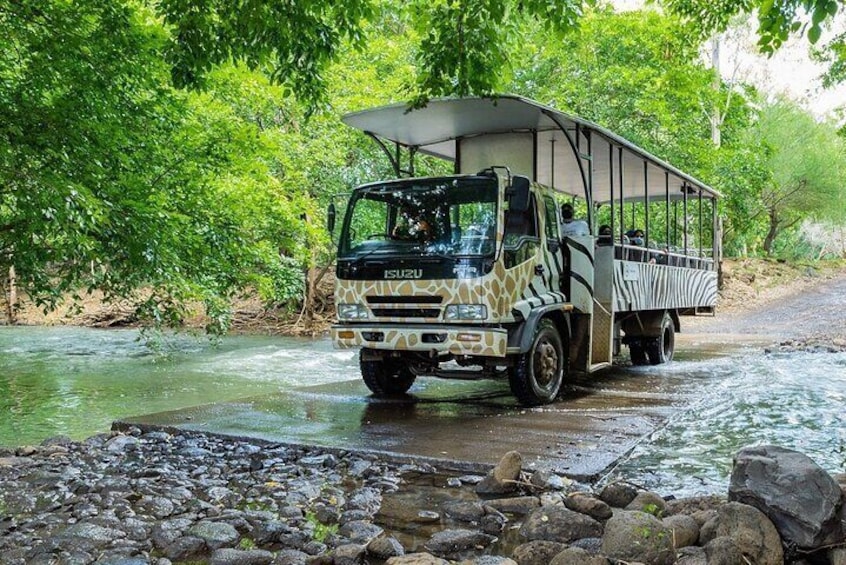 South Discovery With Wild Life Safari at Casela Park with Lunch