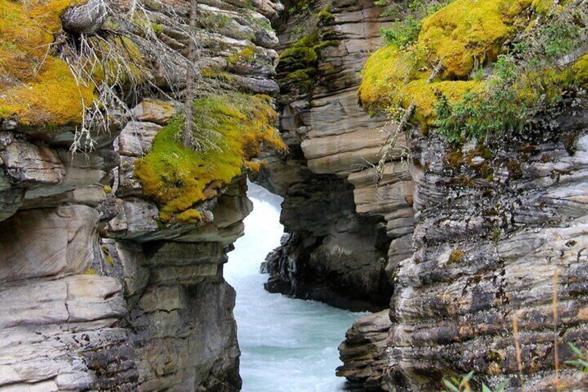 Johnson Canyon in Banff