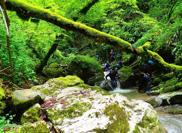 Picture 8 for Activity Talloires: Guided Canyoning Experience in Angon Canyon