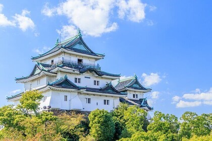 Wakayama Private Customizable Full Day Tour