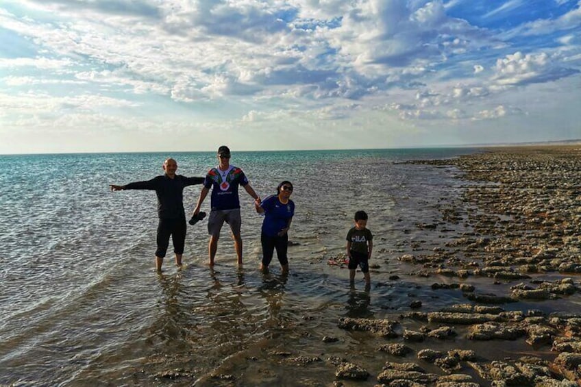 Aral Sea shore