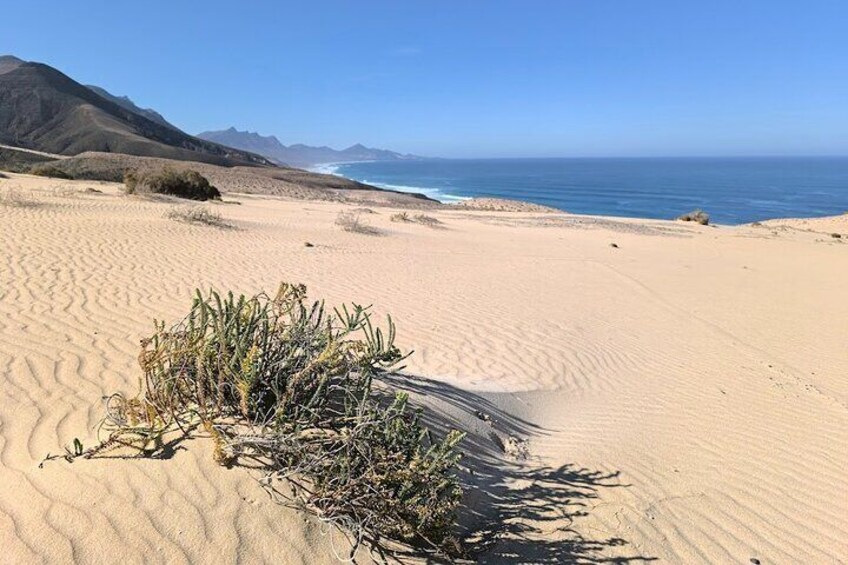 Experience the Wild West Coast of Fuerteventura