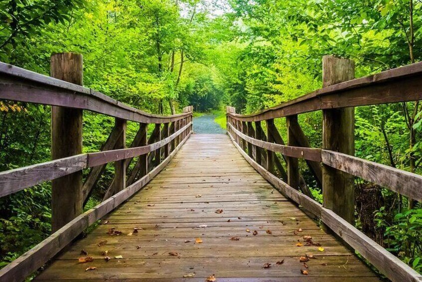 Limberlost Trail