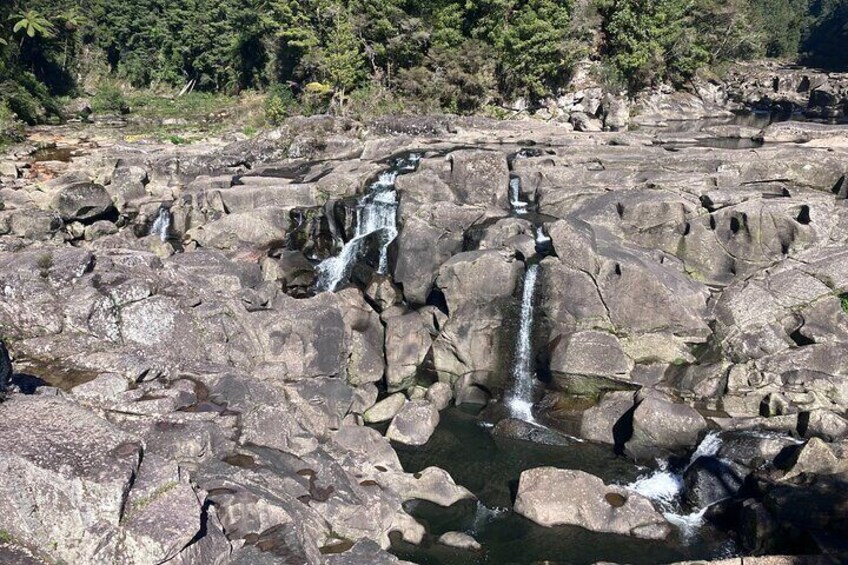 Scenic Walking Tour - Papamoa Hills and McLaren Falls