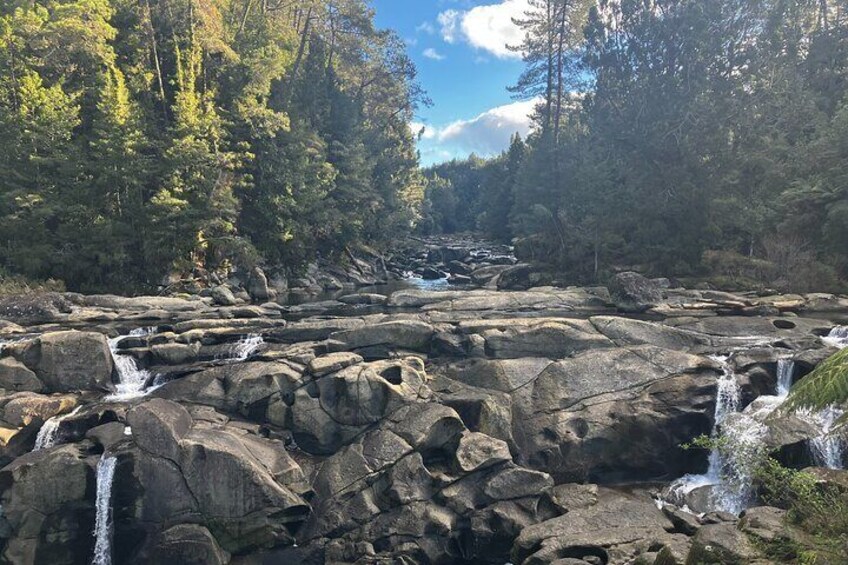 Scenic Walking Tour - Papamoa Hills and McLaren Falls