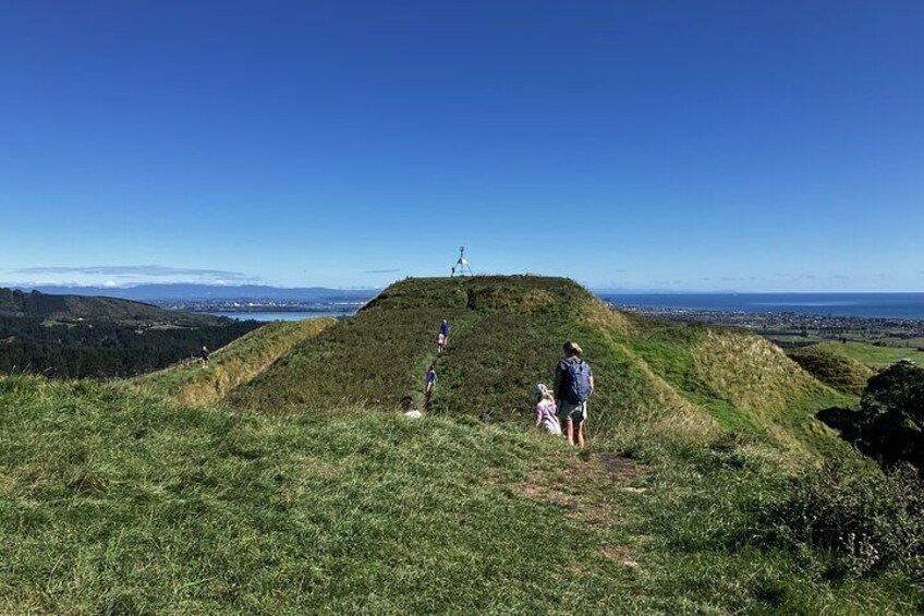 5hr Walking Tour to Papamoa Hills and Omanawa Falls