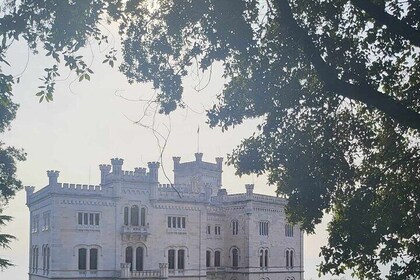 Tour of the Historical Museum and Miramare Castle Park in Trieste