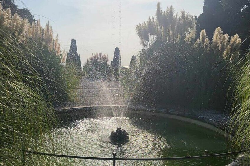 Tour of the Historical Museum and Mimare Castle Park in Trieste