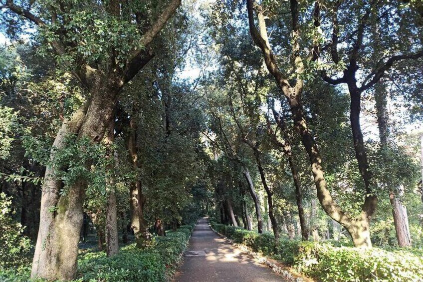 Tour of the Historical Museum and Mimare Castle Park in Trieste