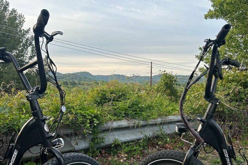 Guided Asheville E-bike Tour River Arts Downtown Murals and More