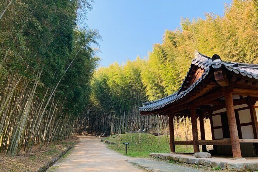 Damyang Tour from Gwangju (Private)