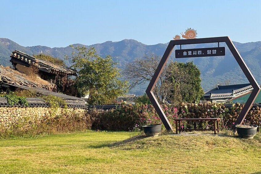 Damyang Tour from Gwangju (Private)