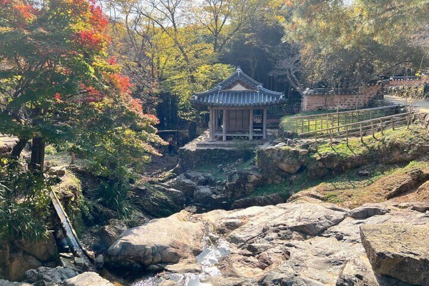 Damyang Tour from Gwangju (Private)