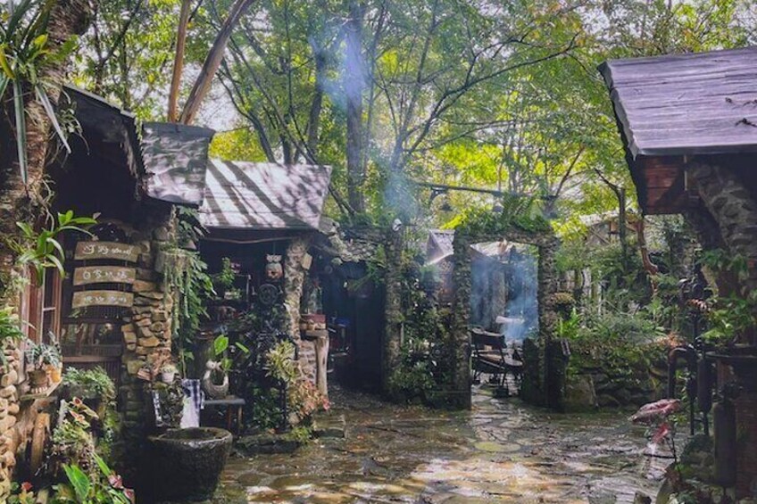 One-day Tour of Hezhang Village (Alishan) From Taichung